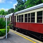 Inside the Exciting Grand Kuranda Day Tour from Cairns!