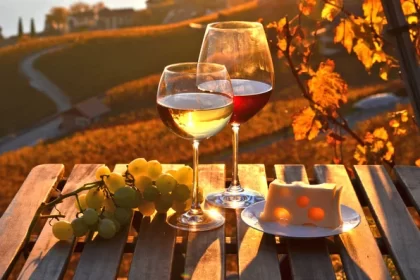 The Hunter Valley Winery & Wildlife Reserve Tour from Sydney!