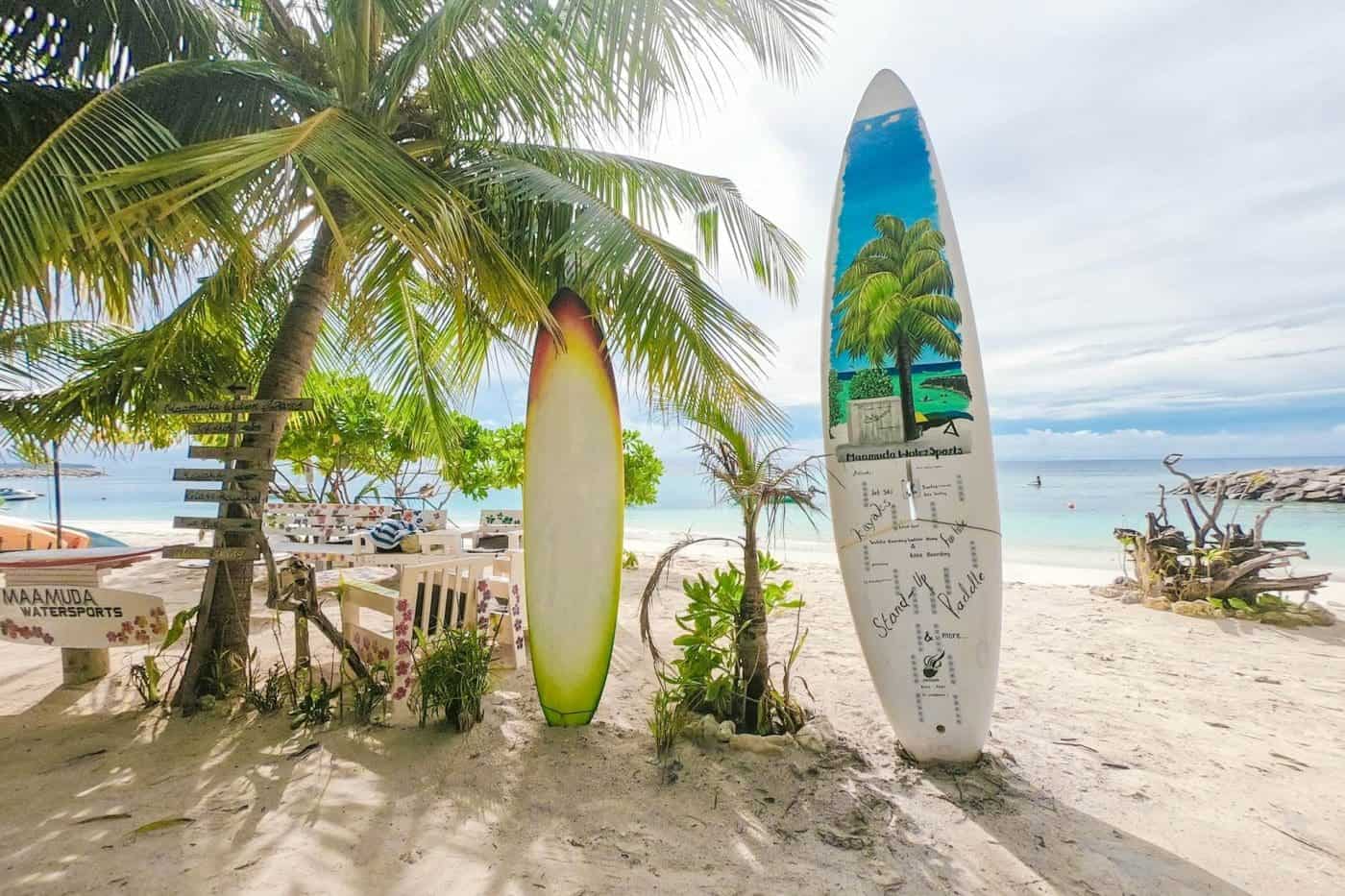 how to choose a surfboard