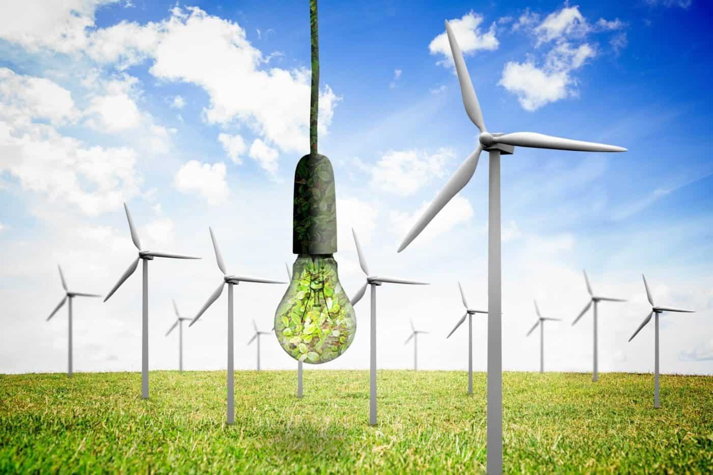 how to choose an electric company