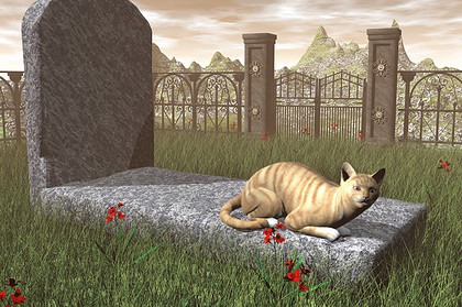 how much is it to cremate a cat