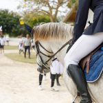 Equestrian riders preparing for competition.