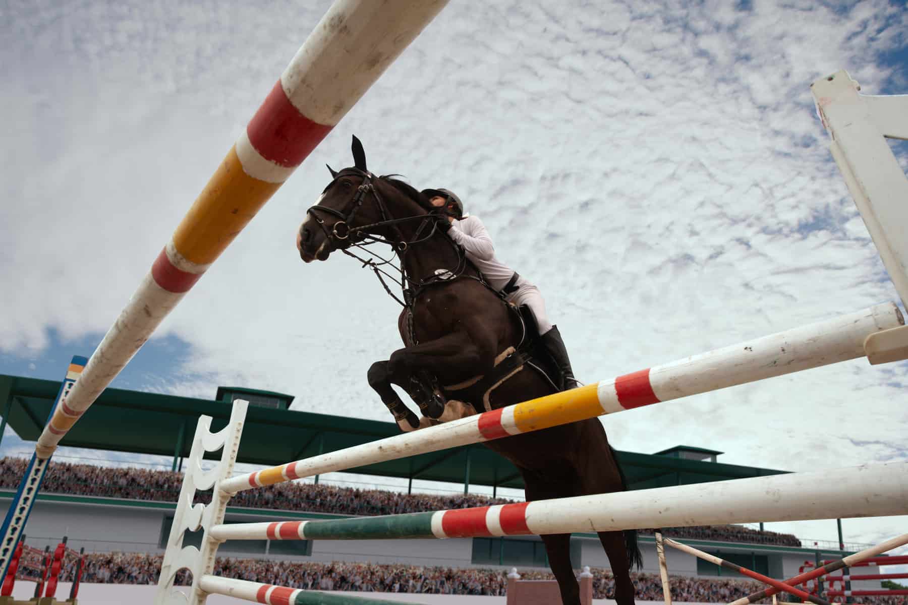 Australian Horse Race Events Attract International Bettors
