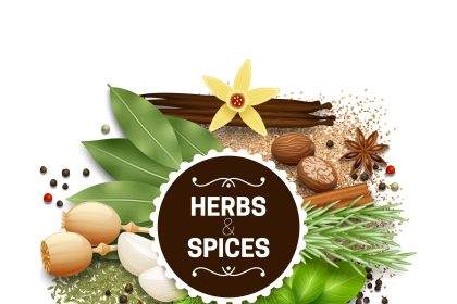 how can i use herbs in my daily life