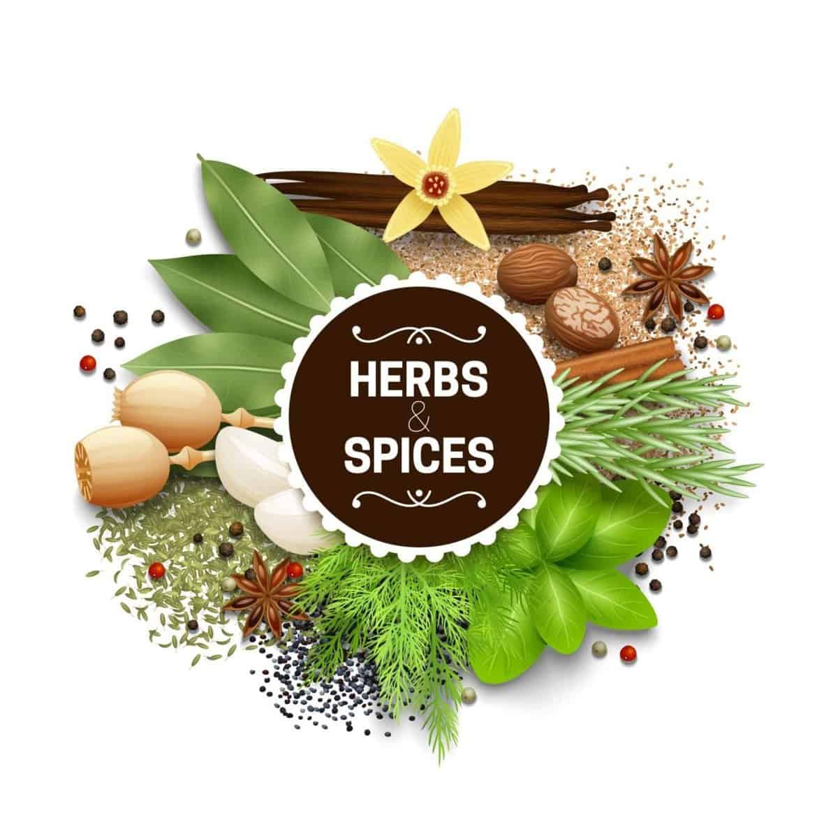 how can i use herbs in my daily life