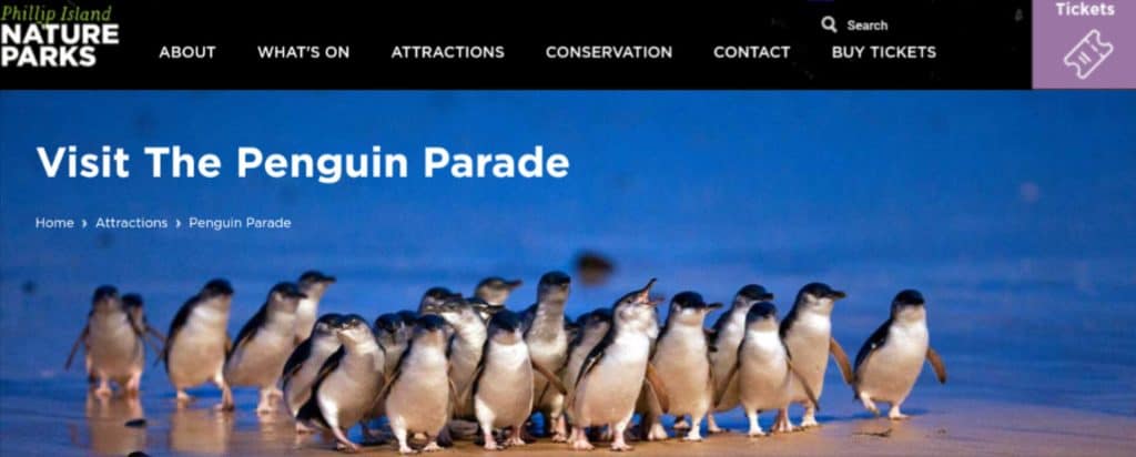 9 Fun Things To Do In Phillip Island 4 InShot 20240316 154613875