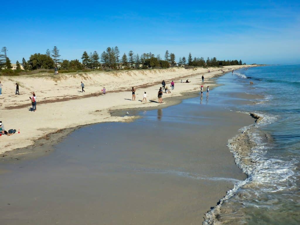 Beaches In Adelaide- 18 Captivating Landscapes 5 mick orlick tvtoKl6iMTs unsplash